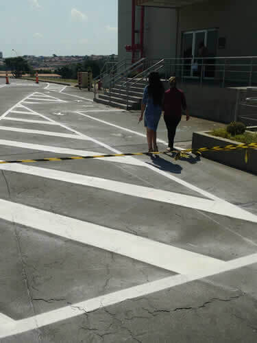 Jabuti Calota e Tartaruga Csv